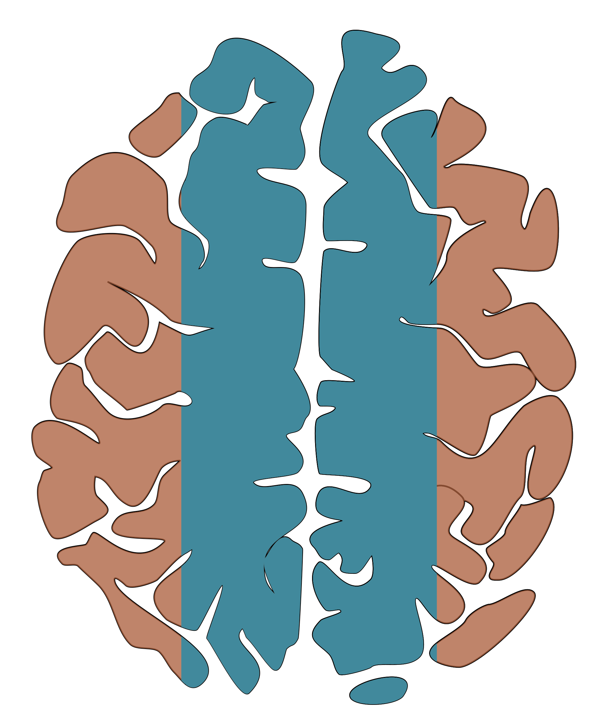 apical